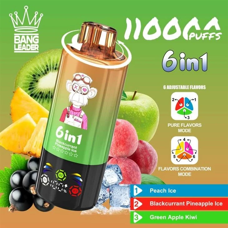 Bang Leader 110K Puffs factory Bang Leader 110K Puffs factory