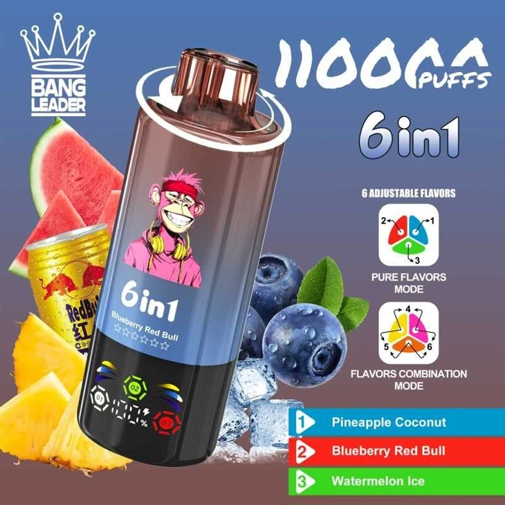 Bang Leader 110K Puffs best Bang Leader 110K Puffs best
