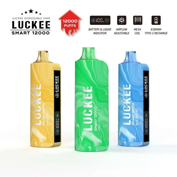 LUCEKK SMART 12000