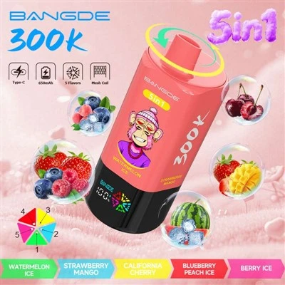 BANG DE 300K 5i1