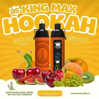 BS King Max Vandpibe 15000
