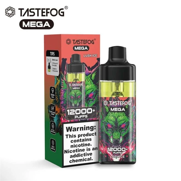 TASTEFOG MEGA 12000 2 TASTEFOG MEGA 12000 2