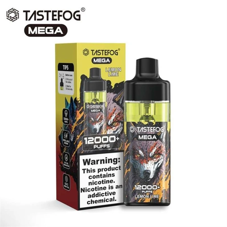 TASTEFOG MEGA 12000 1 TASTEFOG MEGA 12000 1