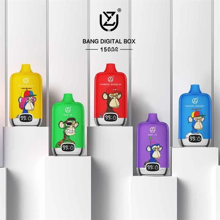 UZY BANG DIGITAL BOX 12000 13
