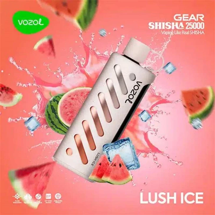 VOZOL GEAR SHISHA 25K VOZOL GEAR SHISHA 25K